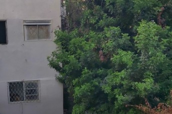 Однокомнатная квартира на долгосрочный сьем